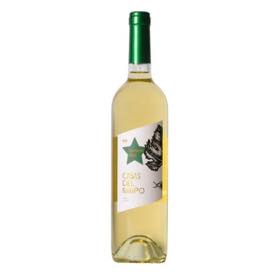 814 - Casa Del Maipo Sauvignon Blanc - Maule Valley 750ml